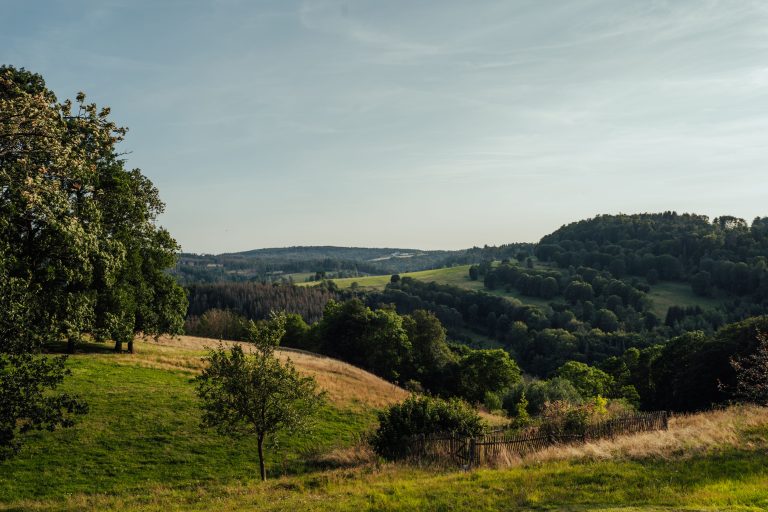 The top 5 reasons solar power is beneficial for the environment